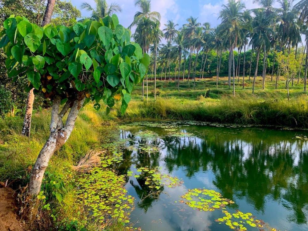 Beautiful Farm House & Villa - Monappa Estate - Top Rated Udupi Exterior foto