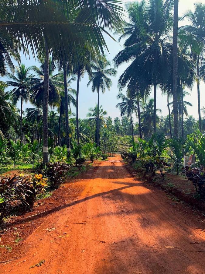 Beautiful Farm House & Villa - Monappa Estate - Top Rated Udupi Exterior foto